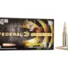 243 winchester ammo